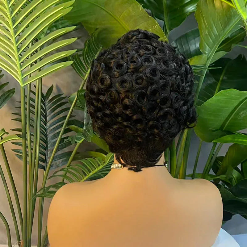Short Curly Pixie Human Hair Wig: Glueless Brazilian Virgin Hair (Natural Black)